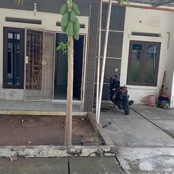 Carport dengan kanopi, bisa masuk mobil